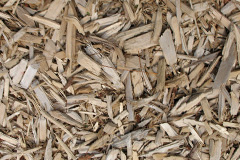 biomass boilers Hetton
